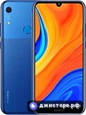 Y6s (2019)