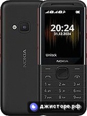 5310 (2024)