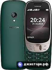 6310 (2024)