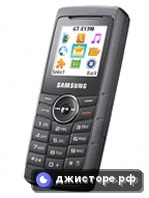 Samsung E1390 — главное фото