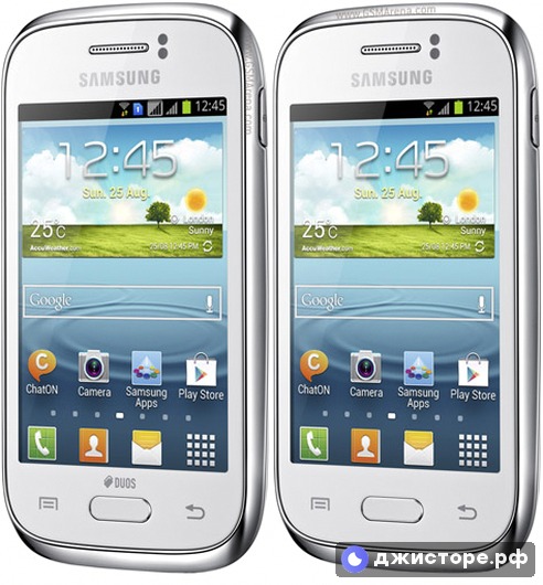 Samsung Galaxy Young S6310 — фото 1