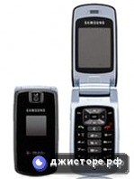 Samsung T439 — главное фото