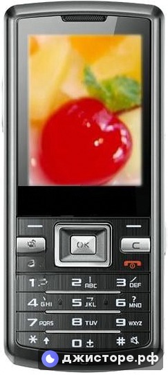 Samsung W299 Duos — фото 1